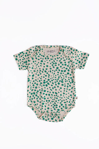 4 Pc Short Sleeve Baby Girl Bodysuit Set Everyday Essentials - Kidulan