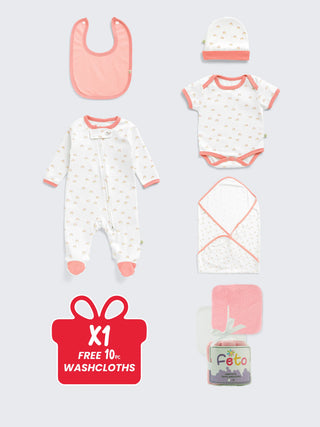 Baby Essentials Gift Set 6 pc Combo with Free 10pc Washcloths - Kidulan