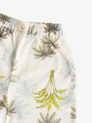 2 Pc Shorts Combo 3–4 Years