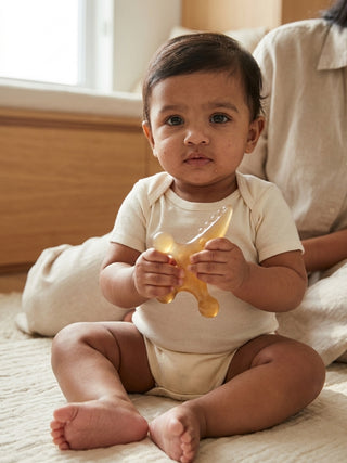 Dinosaur Silicone Baby Teether Toy - Kidulan