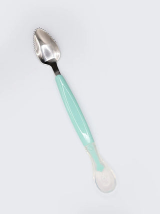 Baby Fruit Feeder Spoon with Protective Cover – Mint Green - Kidulan