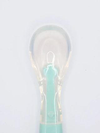Baby Fruit Feeder Spoon with Protective Cover – Mint Green - Kidulan