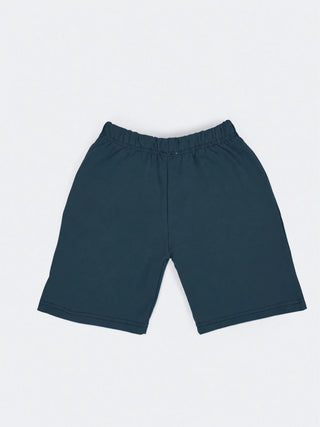 Boys Blue Graphic Printed T-Shirt & Shorts Co-ord Set - Kidulan