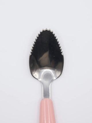 Baby Fruit Feeder Spoon with Protective Cover – Pink - Kidulan