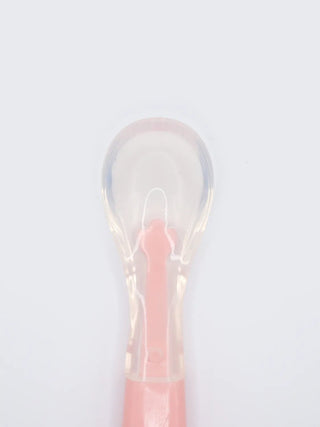 Baby Fruit Feeder Spoon with Protective Cover – Pink - Kidulan
