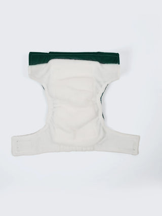 Newborn Reusable Cloth Diaper with Pad -Green - Kidulan