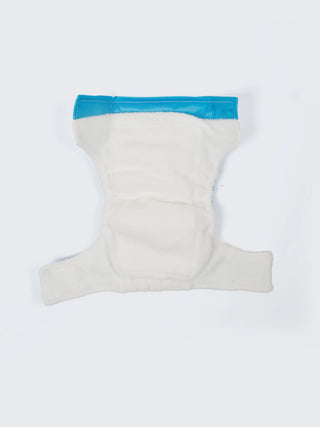 Newborn Reusable Cloth Diaper with Pad-Blue - Kidulan