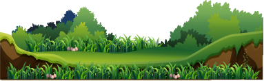 Ground